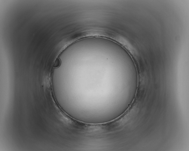 X0000111950993200908031154