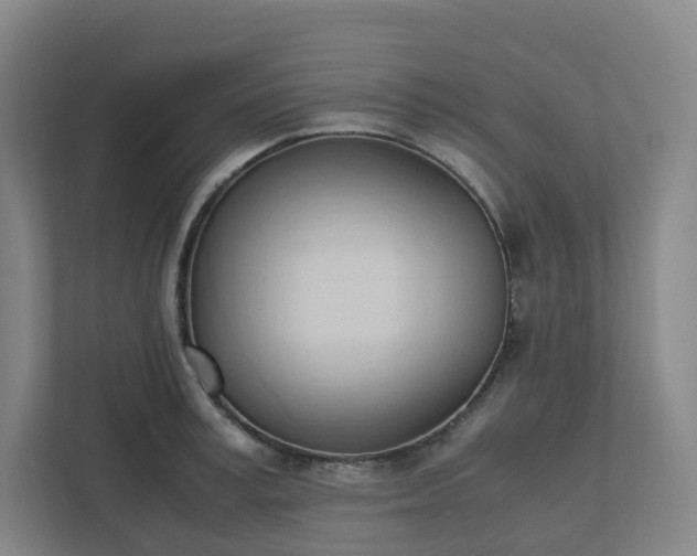 X0000111950995200908031154