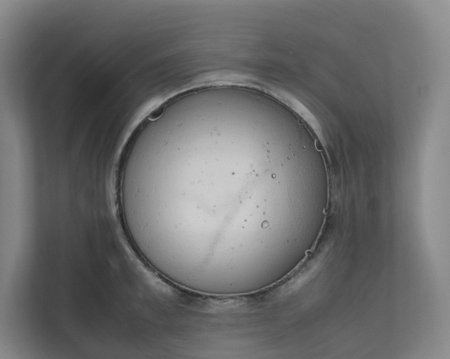 X0000111950997200908031154