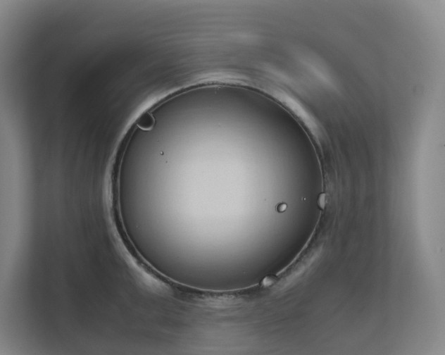 X0000111950999200908031154