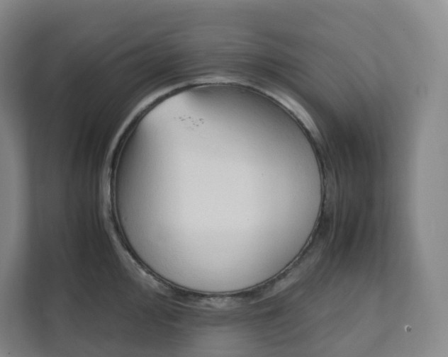 X0000111951000200908031154