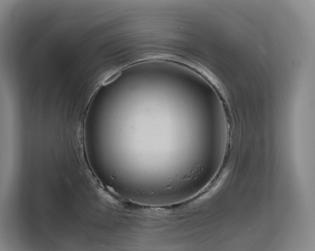 X0000111951001200908031154