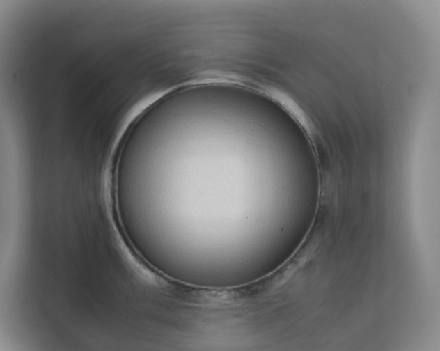 X0000111951003200908031154