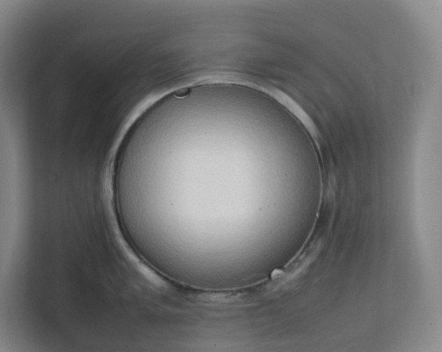 X0000111951005200908031154