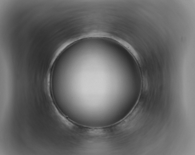 X0000111951006200908031154