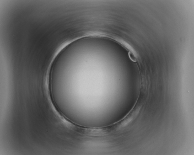 X0000111951007200908031154