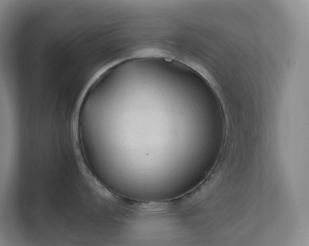 X0000111951008200908031154