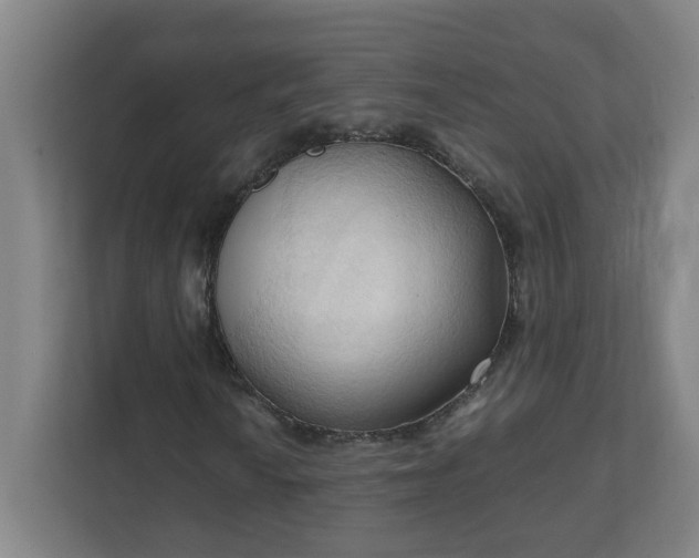 X0000111951010200908031154