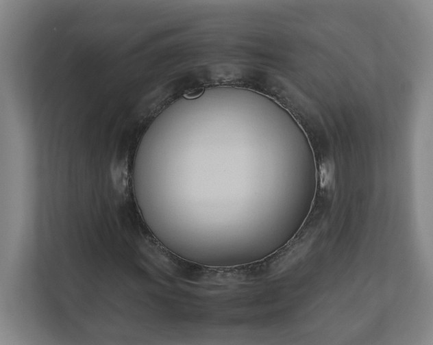 X0000111951011200908031154