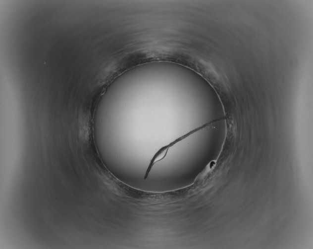 X0000111951012200908031154