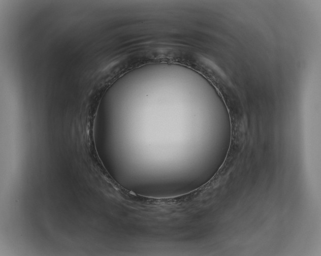 X0000111951013200908031154