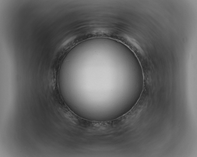 X0000111951015200908031154