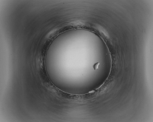 X0000111951016200908031154