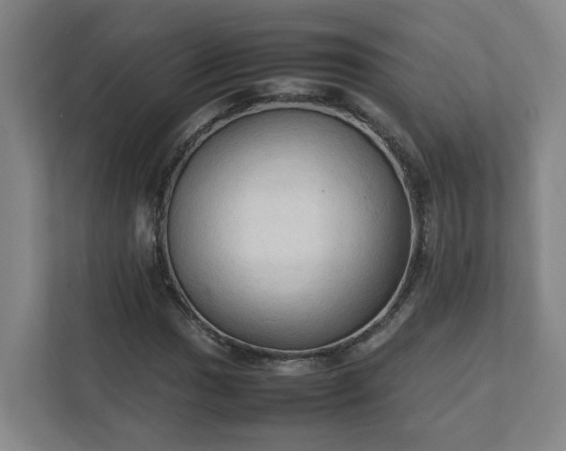 X0000111951017200908031154