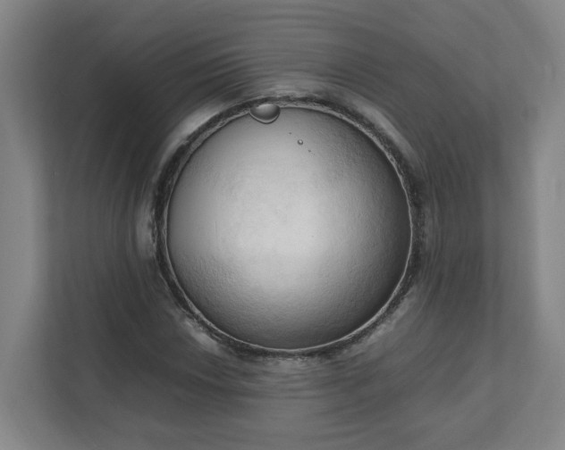 X0000111951018200908031154