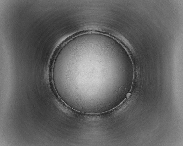 X0000111951020200908031154