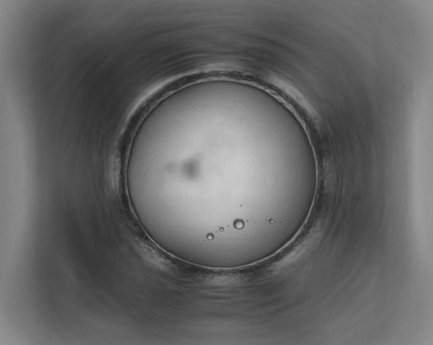 X0000111951021200908031154