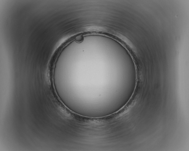 X0000111951022200908031154