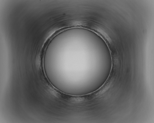 X0000111951023200908031154