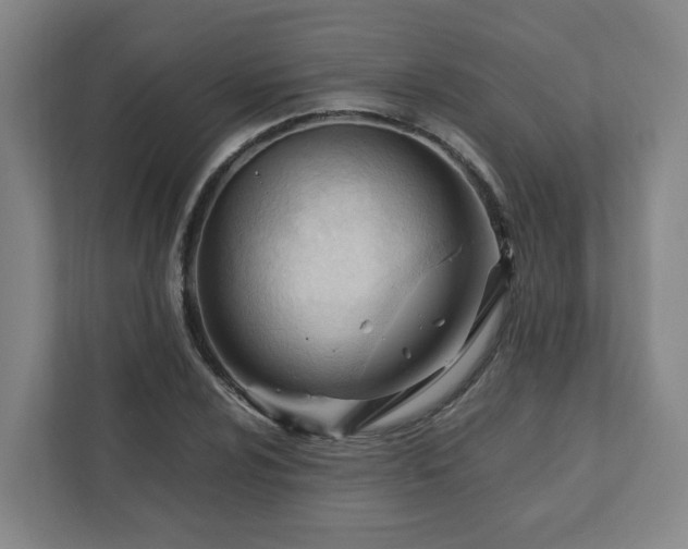 X0000111951024200908031154