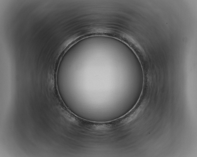 X0000111951025200908031154