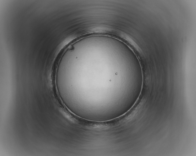 X0000111951026200908031154