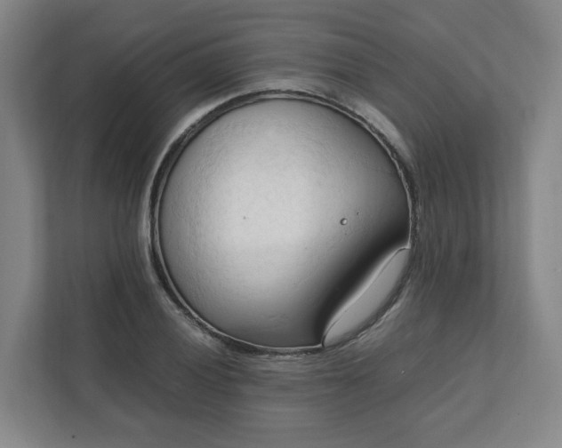 X0000111951028200908031154