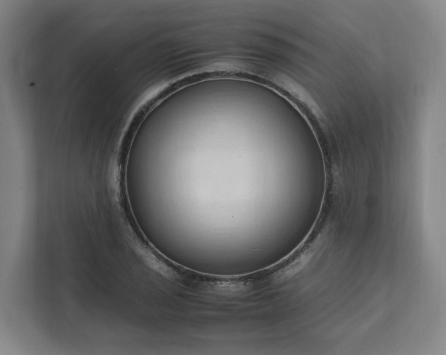 X0000111951029200908031154