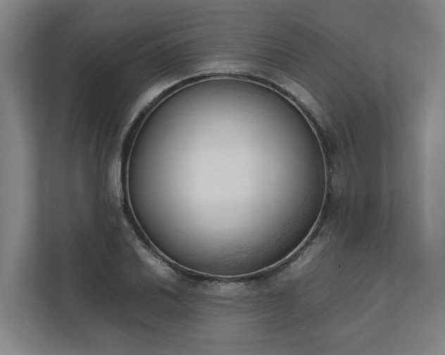 X0000111951030200908031154