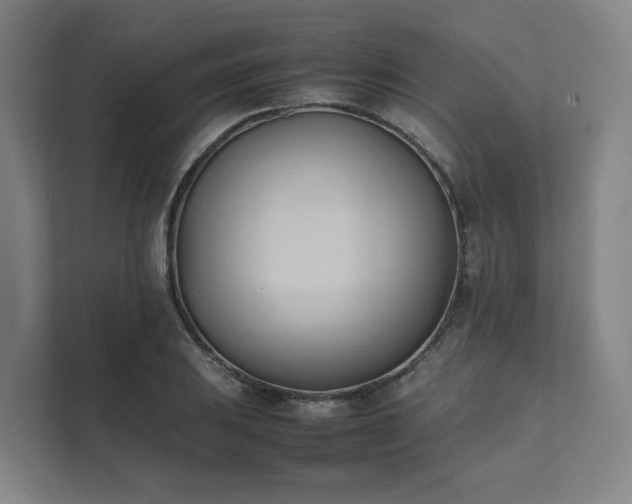 X0000111951031200908031154