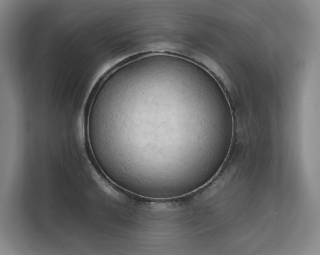 X0000111951032200908031154