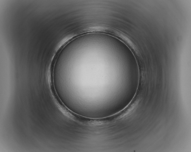 X0000111951034200908031154