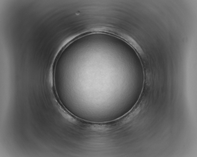 X0000111951036200908031154