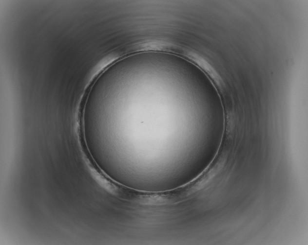 X0000111951042200908031154