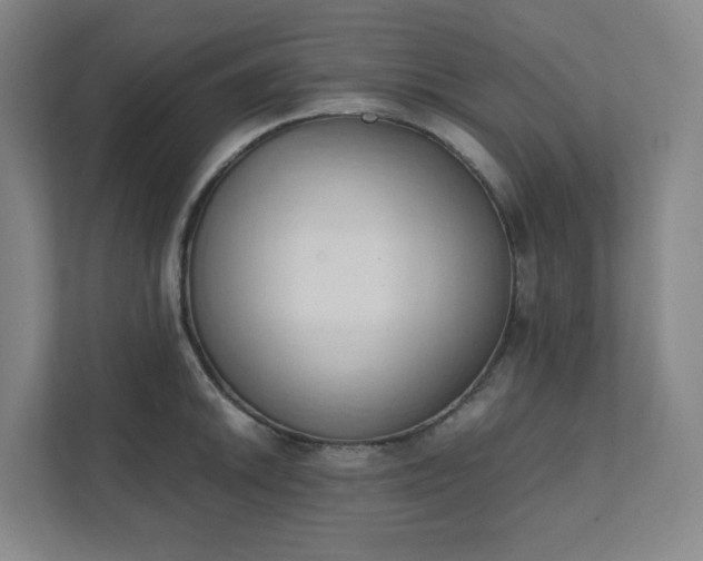 X0000111951046200908031154