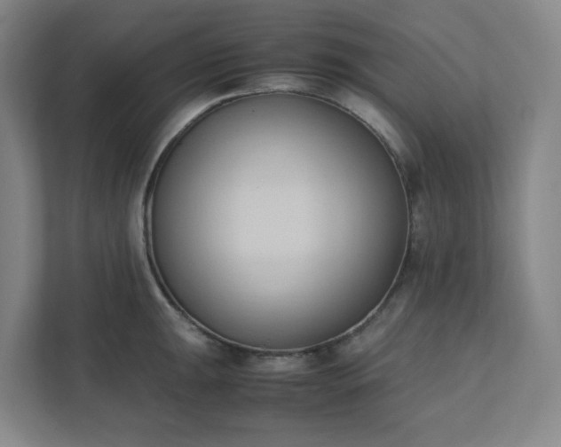 X0000111951047200908031154