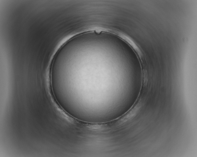 X0000111951048200908031154