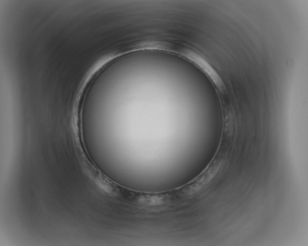 X0000111951051200908031154