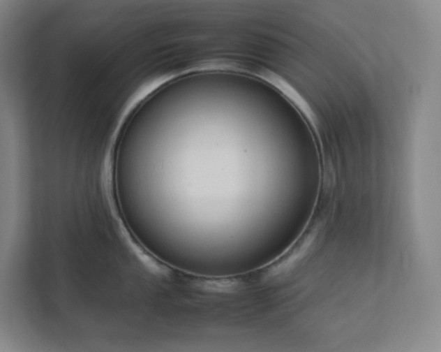 X0000111951053200908031154