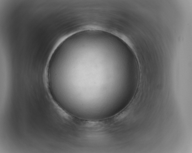 X0000111951056200908031154
