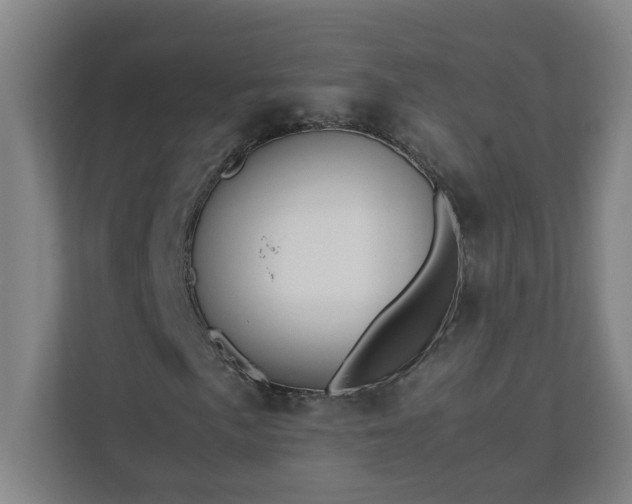 X0000111951057200908031154