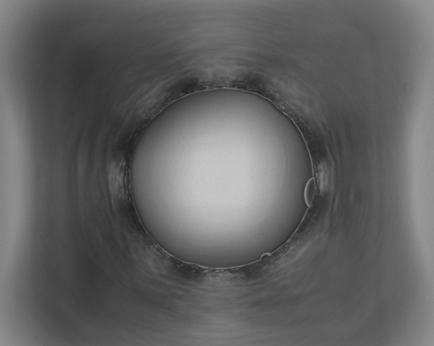 X0000111951059200908031153