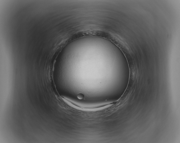 X0000111951060200908031153