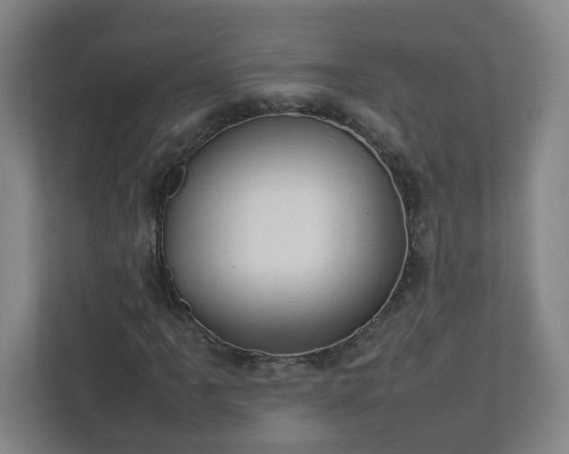 X0000111951061200908031153