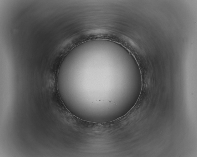 X0000111951062200908031153