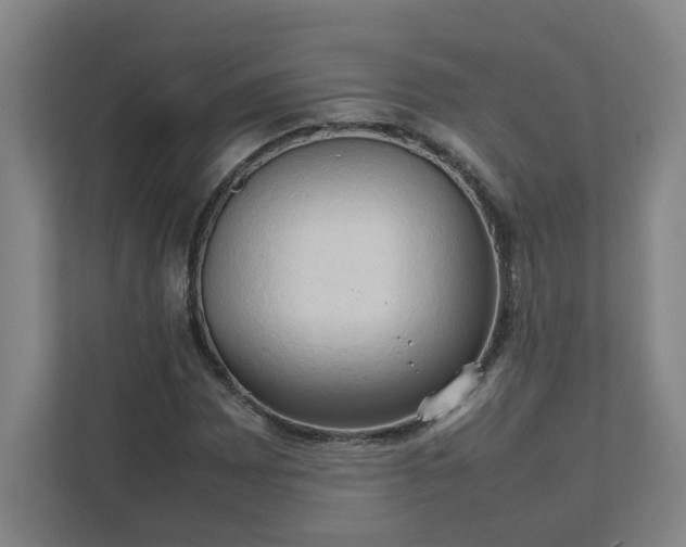 X0000111951065200908031153