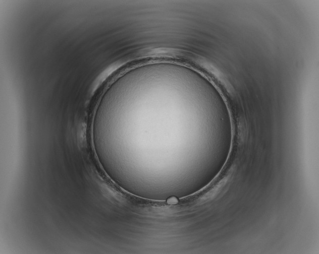 X0000111951066200908031153
