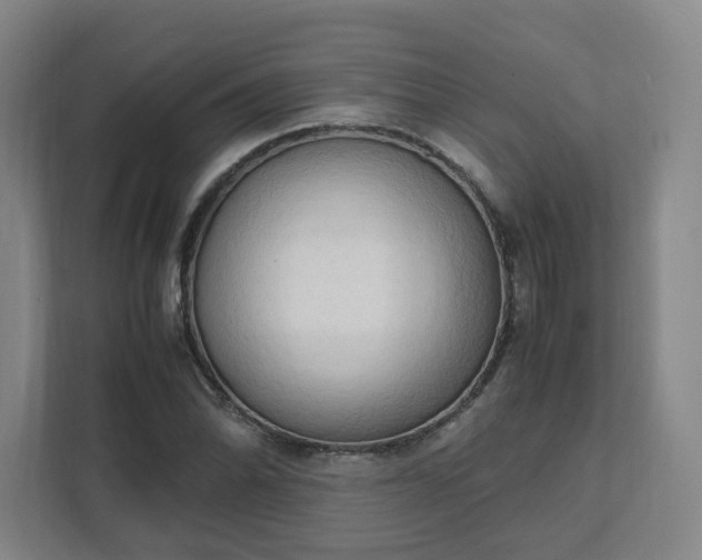 X0000111951070200908031153