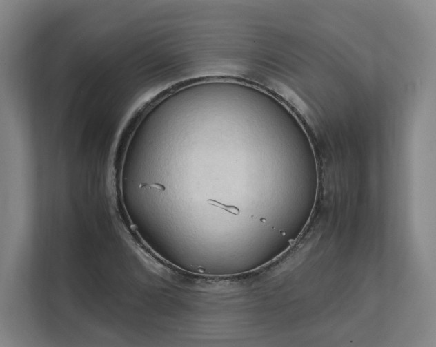 X0000111951072200908031153