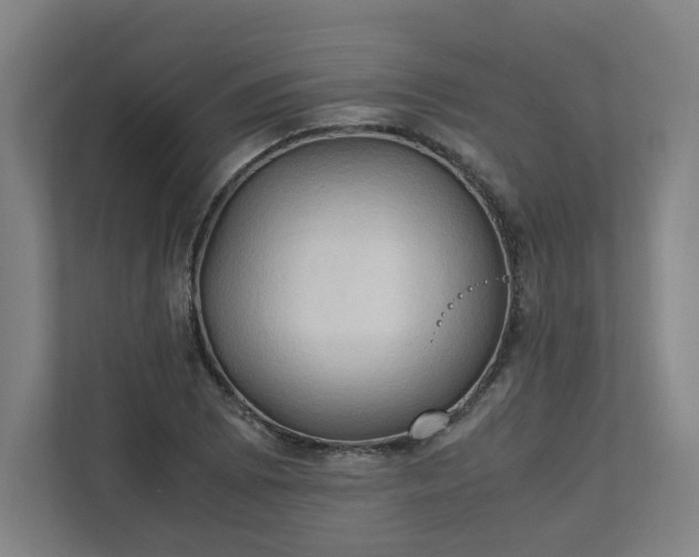 X0000111951073200908031153